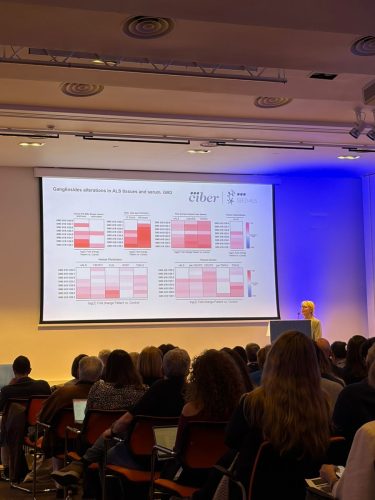 WhatsApp-Image-2026-03-25-at-10.11.05